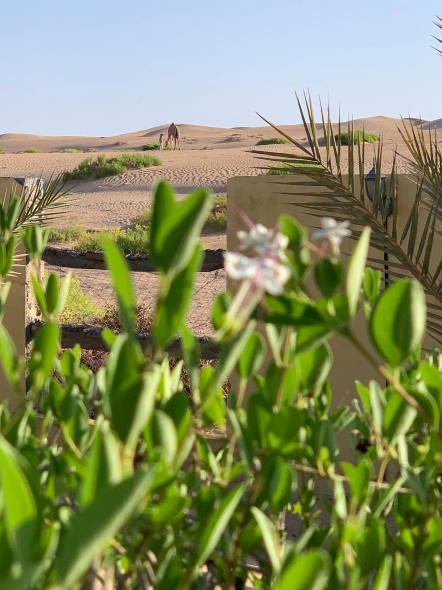 Hotel Golden Palm Oasis Fulayj al Masha'ikh Exterior foto